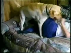Pretty somewhat shy legal age teenager receives turned on during blow job sex with dog and ends up fucking brute 